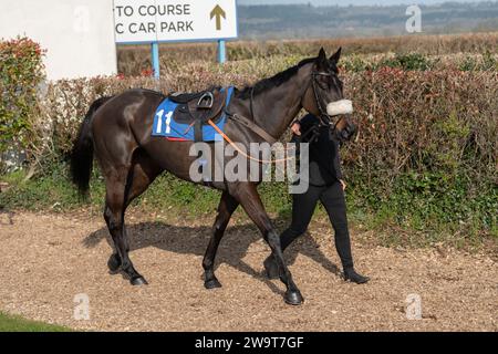 Photos of Petrossian, ridden by Harry Cobden and trained by Paul Nicholls, running over hurdles at Wincanton, March 21st 2022 Stock Photo