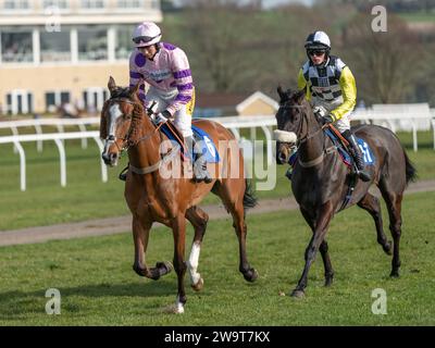 Photos of Petrossian, ridden by Harry Cobden and trained by Paul Nicholls, running over hurdles at Wincanton, March 21st 2022 Stock Photo