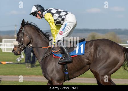 Photos of Petrossian, ridden by Harry Cobden and trained by Paul Nicholls, running over hurdles at Wincanton, March 21st 2022 Stock Photo