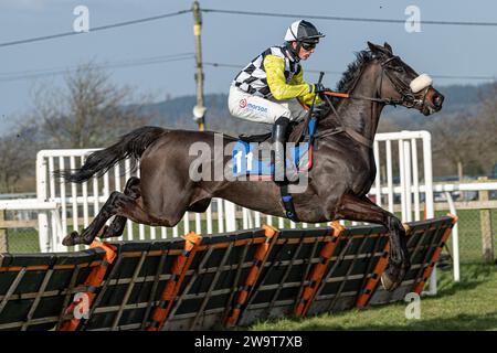 Photos of Petrossian, ridden by Harry Cobden and trained by Paul Nicholls, running over hurdles at Wincanton, March 21st 2022 Stock Photo