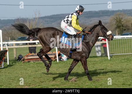 Photos of Petrossian, ridden by Harry Cobden and trained by Paul Nicholls, running over hurdles at Wincanton, March 21st 2022 Stock Photo