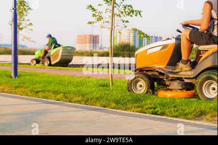 Workers drive lawn mowers tractors and mow the lawn in the park in the early morning at dawn. Stock Photo