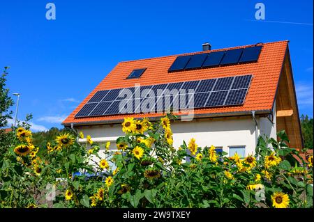 Modern solar roof on a newly built detached house against a blue sky with sunflowers in the foreground Stock Photo