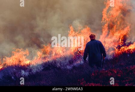 Heather burning the traditional way with flames and smoke on an estate in Scotland Stock Photo