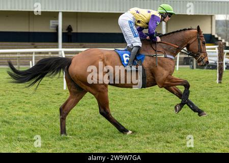 Just Toby, ridden by Charlie Todd and trained by David Dennis, wins at Wincanton over fences, March 10th 2022 Stock Photo
