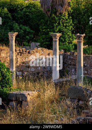 Ancient Agora at sunset, Kos Town, Kos Island, Dodecanese, Greece Stock Photo