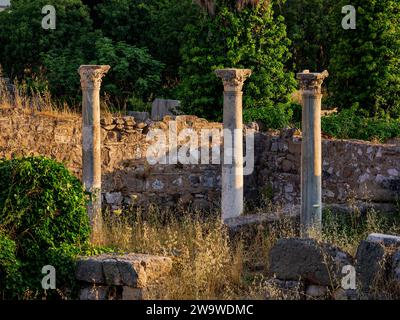 Ancient Agora at sunset, Kos Town, Kos Island, Dodecanese, Greece Stock Photo