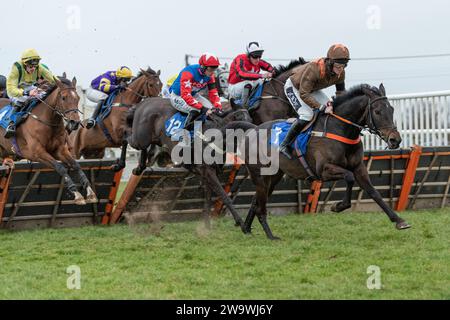 Flowing Cadenza, ridden by Jack Martin and trained by Bob Buckler ...