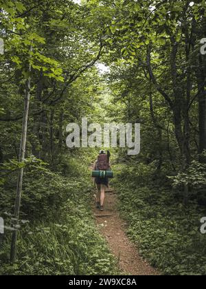 Young woman with a large backpack and camping equipment walking through a forest path during summer, lush forest, green atmosphere, sunshine, warm wea Stock Photo