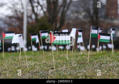 Harrisburg, United States. 30th Dec, 2023. Small paper Palestinian flags line Front Street in Harrisburg Pa. on December 30, 2023. Demonstrators placed more than 20,000 flags, one for each person killed in Gaza since the beginning of the Israel-Hamas War, along the street near the Pennsylvania Governor's Residence. (Photo by Paul Weaver/Sipa USA) Credit: Sipa USA/Alamy Live News Stock Photo