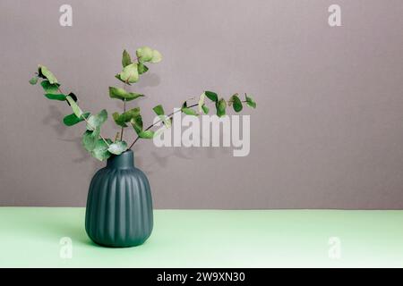 Eucalyptus branches in vase on green table against gray wall background. Home decor concept. Copy space. Stock Photo