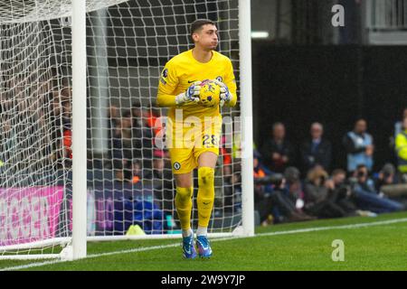 Goalkeeper Djordje Petrovic (28) of Chelsea during the Premier League match between Luton Town and Chelsea at Kenilworth Road, Luton, England on 30 December 2023. Photo by David Horn. Stock Photo