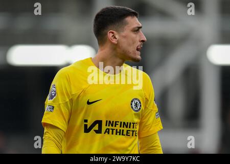 Goalkeeper Djordje Petrovic (28) of Chelsea during the Premier League match between Luton Town and Chelsea at Kenilworth Road, Luton, England on 30 December 2023. Photo by David Horn. Stock Photo