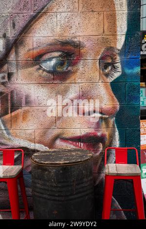 Ireland, Munster, Waterford, O’Connell Street, mural painting on Phoenix Yard street food market wall Stock Photo