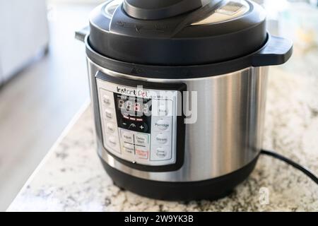 Multicooker Magic: Spicing Up Baby Back Ribs Stock Photo