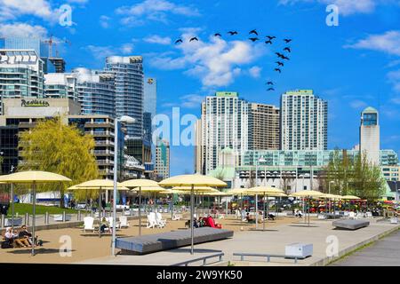 Toronto, Ontario, Canada-June 22, 2016:  City skyline seen from the waterfront in Lake Ontario. This area is a major tourist attraction in Canadia Stock Photo