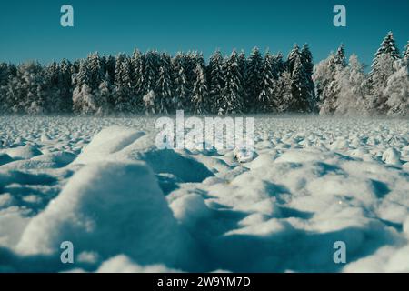 Winterlandschaft in Ried Bad Waldsee Stock Photo