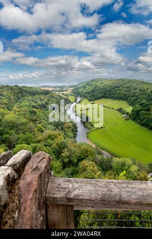Symonds Yat Rock. Viewpoint is one of the best places in the country to watch Peregrine Falcons. Stock Photo