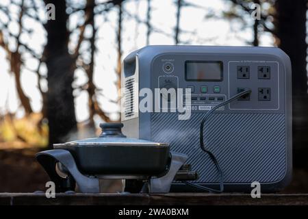 Portable Power Station heating a electric frying pan on a picnic table - steam rises - in background trees Stock Photo