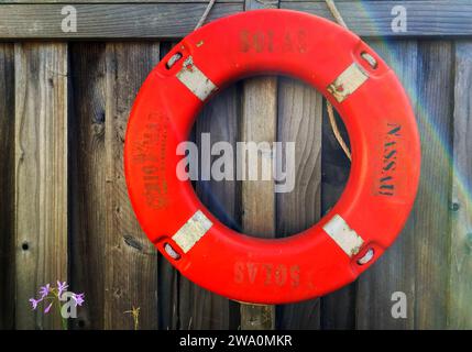 An orange life ring, life saver, or life preserver hanging on a wall by the beach in summertime Stock Photo