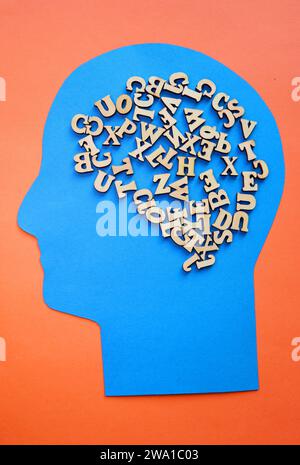 Diagram showing the human brain using a wooden panel Stock Photo