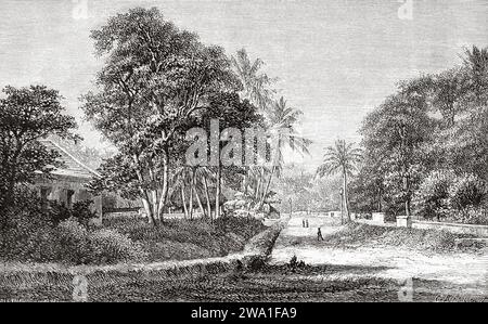 Old avenue in the ancient city of Batavia. Jakarta, Java island. Indonesia, Southeast. Six weeks in Java  1879 by Desire Charnay (1828 - 1915) Old 19th century engraving from Le Tour du Monde 1880 Stock Photo
