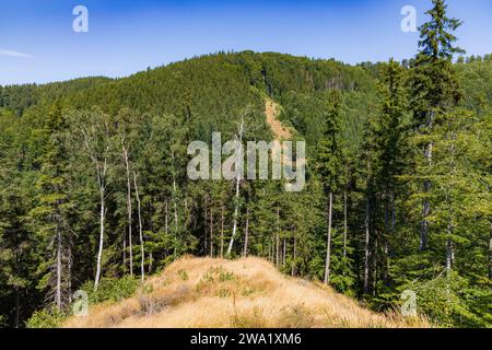 Beautiful green yellow and blue landscape of layers of hills and mountains full of high and green trees Stock Photo