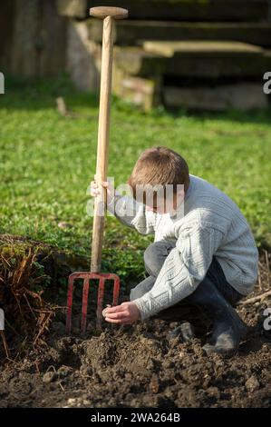 Enfant dans le potager avec une fourche beche. Creuser des trous pour planter des pommes de terre dans le sol. |  Boy in the vegetable garden digging Stock Photo