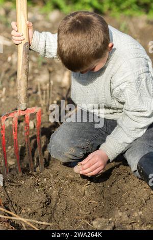 Enfant dans le potager avec une fourche beche. Creuser des trous pour planter des pommes de terre dans le sol. |  Boy in the vegetable garden digging Stock Photo