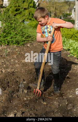 Enfant dans le potager avec une fourche beche. Creuser des trous pour planter des pommes de terre dans le sol. |  Boy in the vegetable garden digging Stock Photo