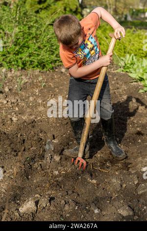 Enfant dans le potager avec une fourche beche. Creuser des trous pour planter des pommes de terre dans le sol. |  Boy in the vegetable garden digging Stock Photo
