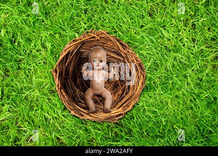 green grass as a background texture Stock Photo