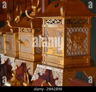 Hanging Japanese Lanterns in Nara Stock Photo