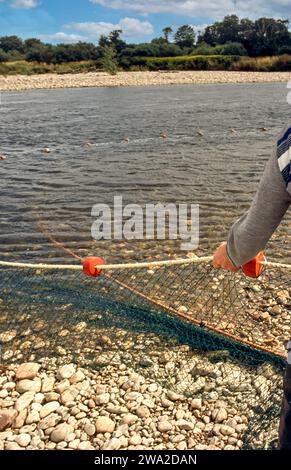 Salmon netting River Spey Scotland during 1990s encircling the pool with the net Stock Photo