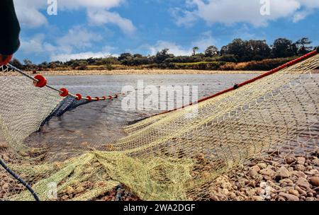 Seine fishermen pull their fishing nets from the Indian Ocean onto Uppuveli  beach in Sri Lanka in the late afternoon Stock Photo - Alamy