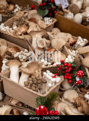 UK, England, Cheshire, Macclesfield, Market Street, Christmas Treacle Market, display of fresh mushrooms from Ashbourne on sale Stock Photo