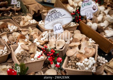 UK, England, Cheshire, Macclesfield, Market Street, Christmas Treacle Market, display of fresh mushrooms from Ashbourne Stock Photo