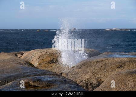 Blowhole in the granite rocks at Bicheno beach, Tasmania, Australia. Blasts of water coming from the hole are powerful, the water takes on new shapes Stock Photo