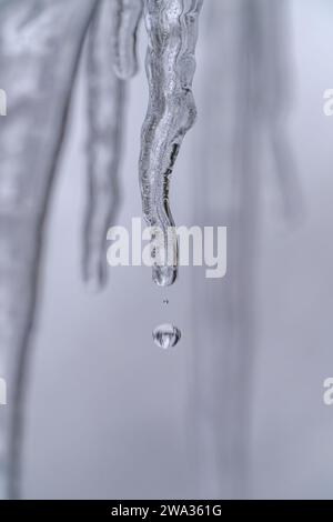close up, macro of water drop forming and falling from single isolated icicle in front of bright background Stock Photo