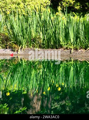 Beautifully manicured garden at MaClay Gardens National Park in Tallahassee, Florida Stock Photo