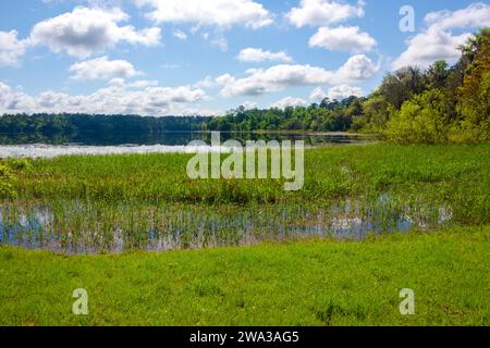 Large lake at MaClay Gardens National Park in Tallahassee, Florida Stock Photo