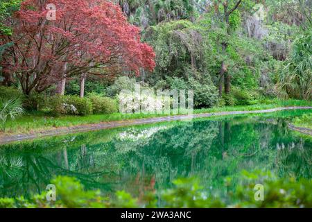 Beautifully manicured garden at MaClay Gardens National Park in Tallahassee, Florida Stock Photo