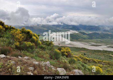 View from the Byllis Archaeological Park over flowering broom into the VJosa valley, Byllis, Albania, Europe Stock Photo