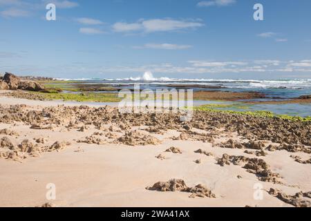 Stoney Rise Robe Surf Little Dip conservation park a few kilometeres outside of Robe, South ...