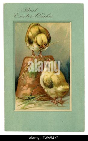 Original Edwardian embossed Easter greetings card. 2 chicks one stands on an upturned flower pot. Posted London 1 April 1907. U.K. Stock Photo