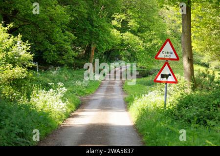 A narrow English countryside lane, near Chase End Hill, Herefordshire, UK. Photo by Andrew Higgins/Thousand Word Media Stock Photo