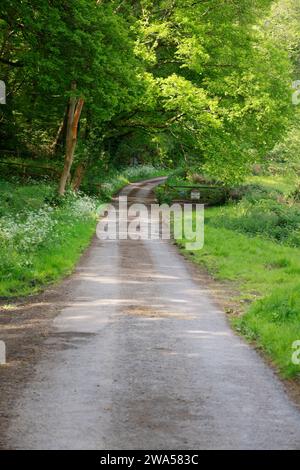 A narrow English countryside lane, near Chase End Hill, Herefordshire, UK. Photo by Andrew Higgins/Thousand Word Media Stock Photo