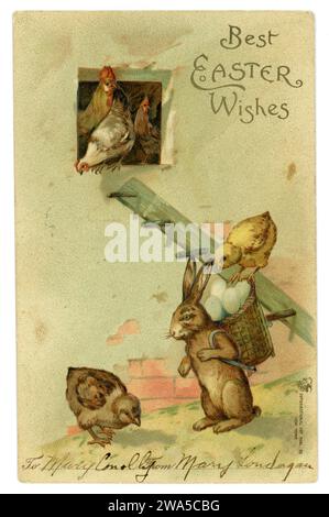 Original Edwardian era early American Easter greetings card, hares collecting eggs from hen coop and chicks, posted Northampton, U.S.A. 1906. Stock Photo