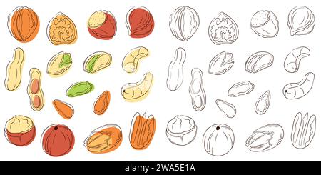 Nuts set in line art style with color. Flat collection of hazelnut, pistachio, almond, cashew, macadamia, walnut, peanut, pecan. Vector illustration Stock Vector