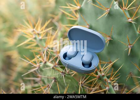 Blue wireless earphones in-ear with charging case. Wireless earbuds or earphones on cactus background. Creative advertising concept. Stock Photo